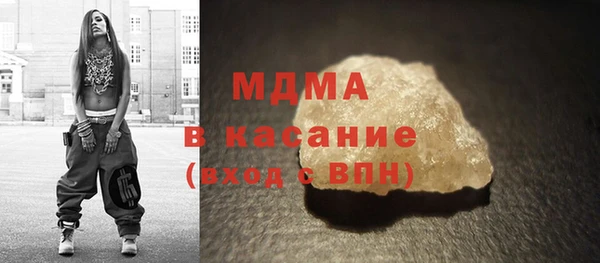 индика Богородицк