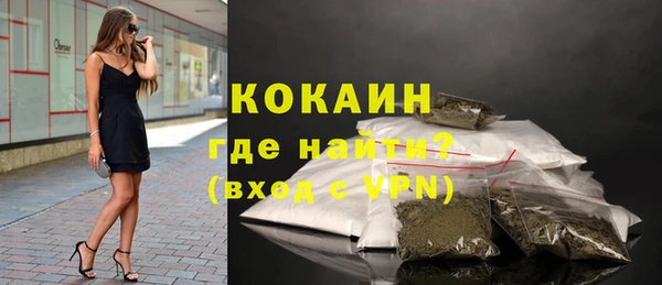 индика Богородицк