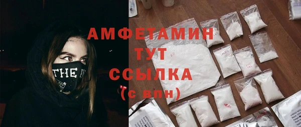 индика Богородицк