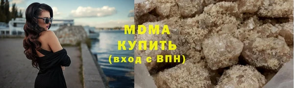 индика Богородицк