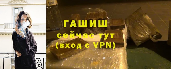 гидра Богородск
