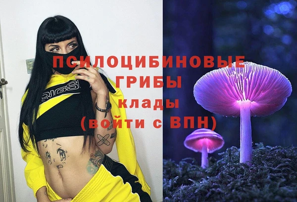 гидра Богородск