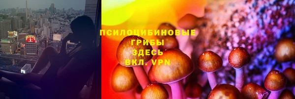 гидра Богородск