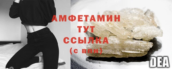 индика Богородицк