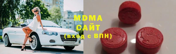 индика Богородицк