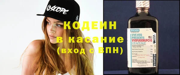 индика Богородицк