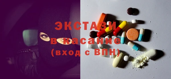 индика Богородицк