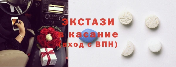 гидра Богородск