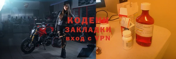 индика Богородицк