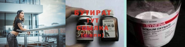 индика Богородицк