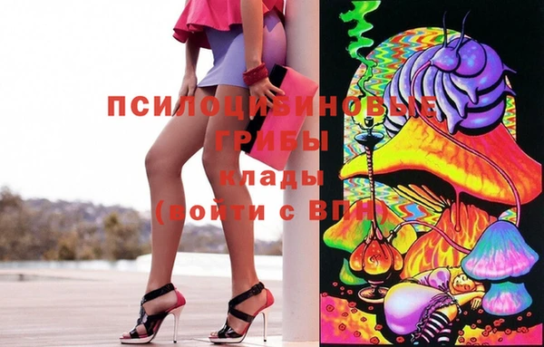 индика Богородицк