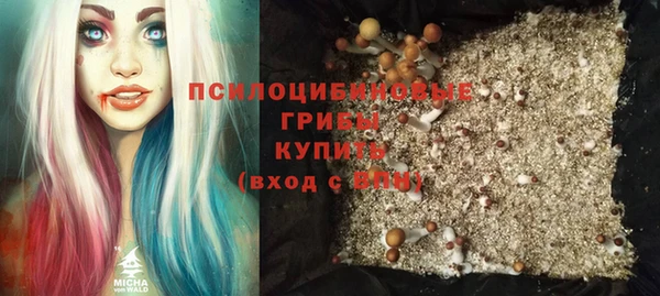 СК Богданович