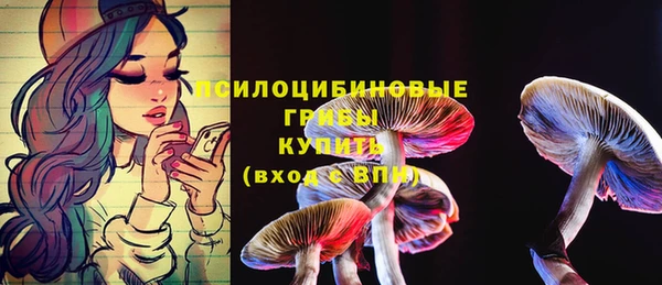 индика Богородицк
