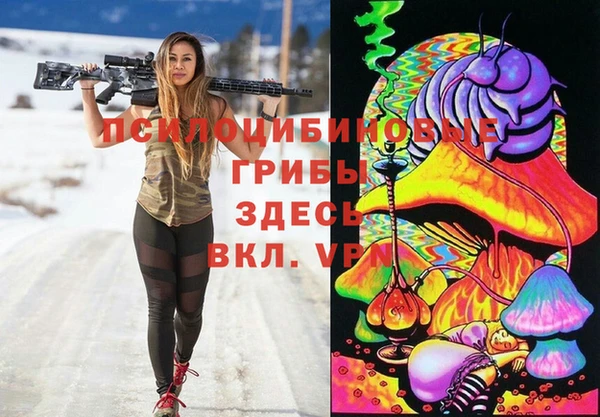 индика Богородицк