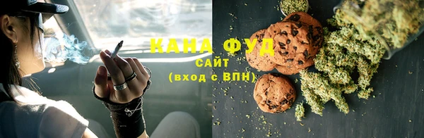 гидра Богородск