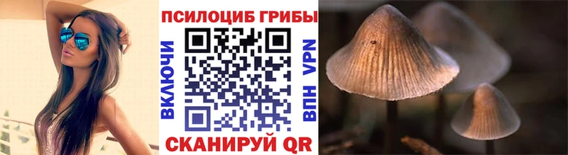 Купить закладки  Усть-Джегута  Псилоцибиновые грибы ЛСД 